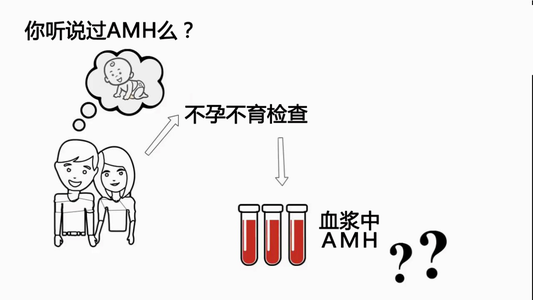 抗缪勒管激素是什么意思？