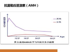 抗缪勒氏管激素是检查什么？