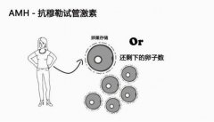 抗缪勒氏管激素检查最佳时间是？