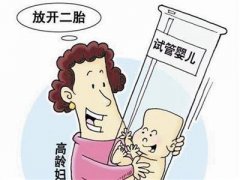 促卵泡激素怎么调理？