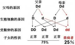 家族遗传病能治吗？