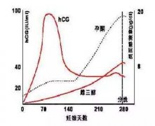 试管婴儿怀孕后HCG低怎么办？