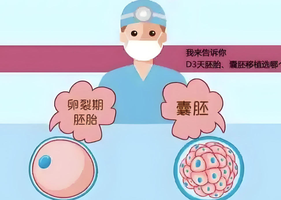 试管婴儿