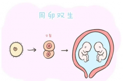 试管婴儿胚胎评分标准，吉尔吉斯斯坦试管